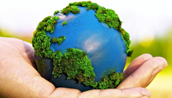 Perito Auditor En Impacto Ambiental